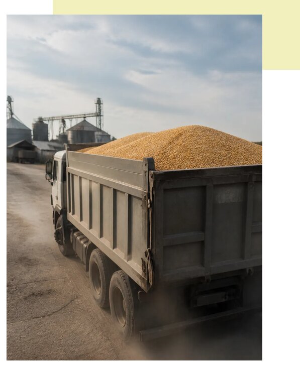 Перевозка сельхозпродукции навалом в Липецк по цене от 3118 р. | Агросервис-Лпц