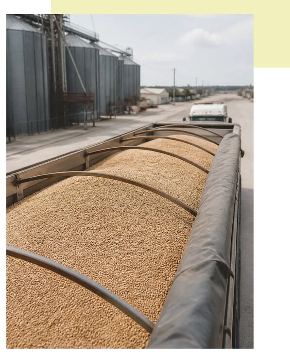 Доставка и перевозка сорго в Липецк по цене от 1559 р. | Агросервис-Лпц